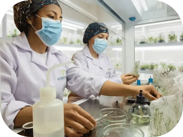 Equipo de laboratorio de Foreslab