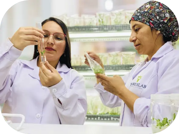 Equipo de laboratorio de Foreslab